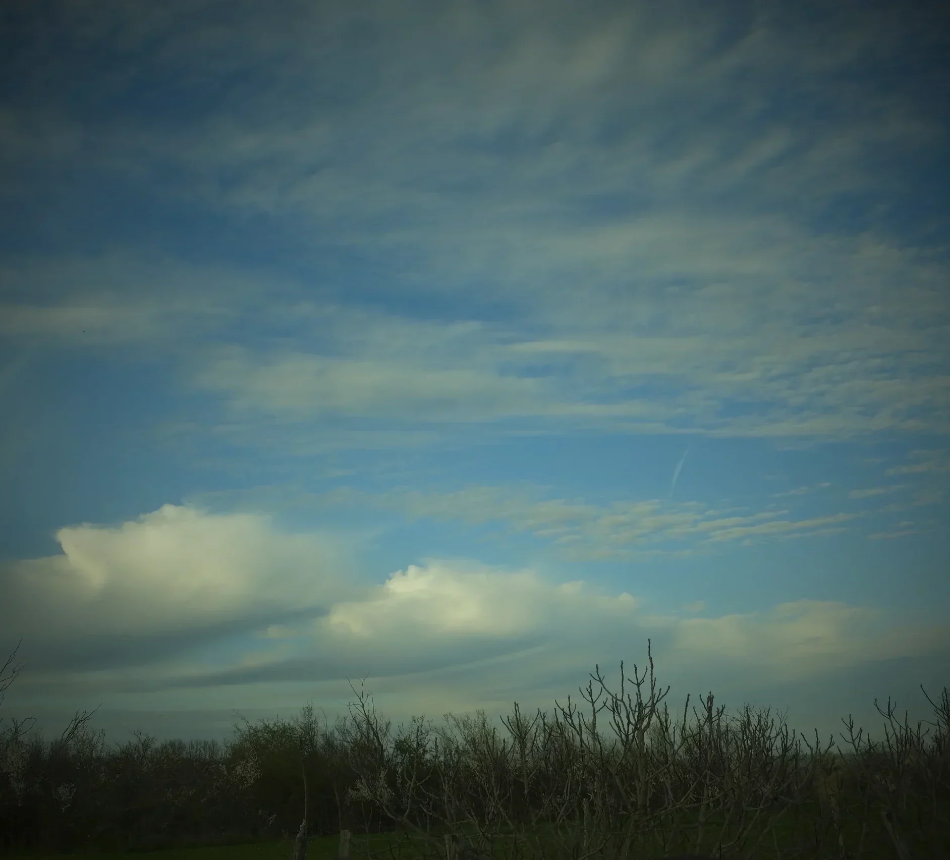 Lae Artiste Photographe