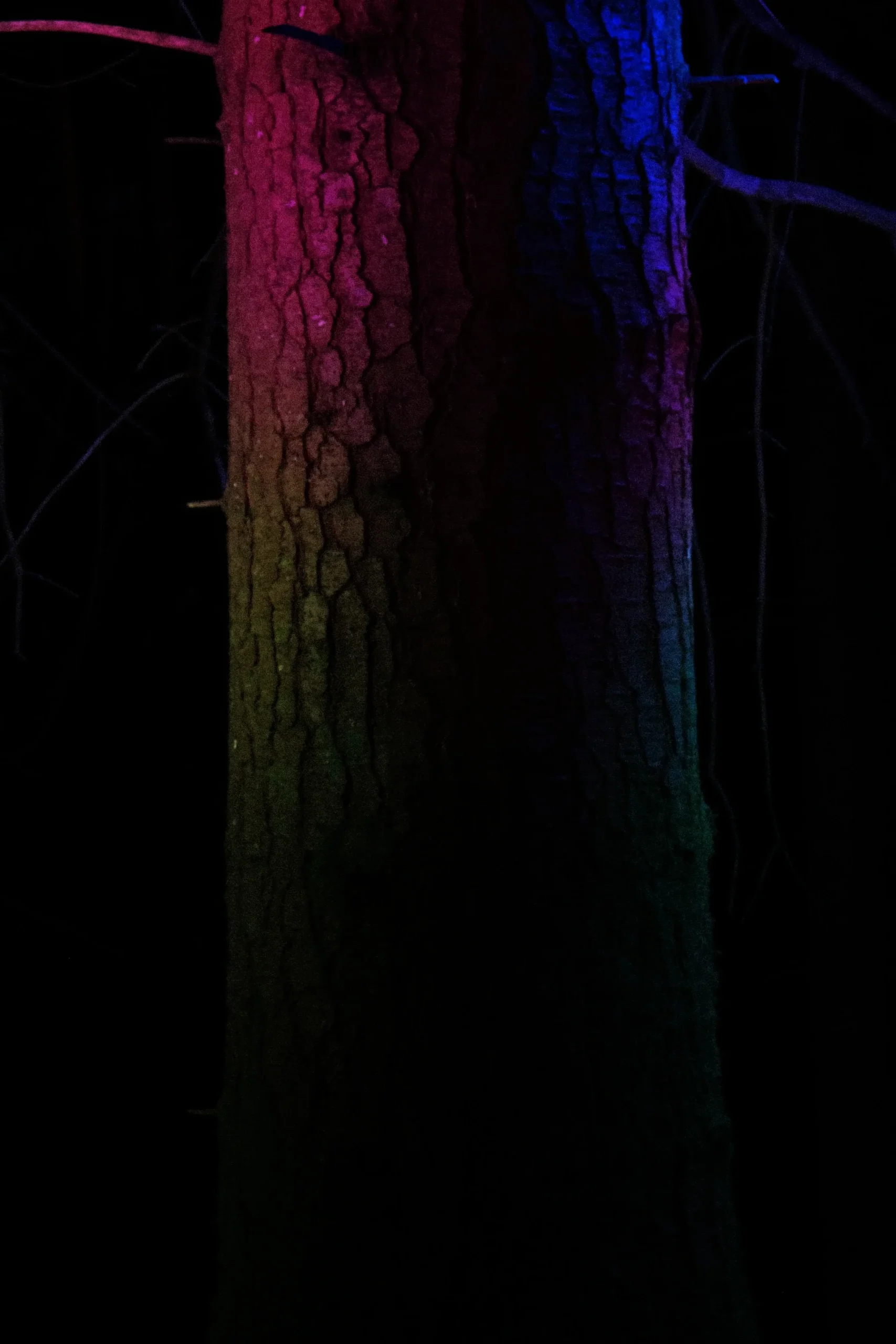 Nocturne